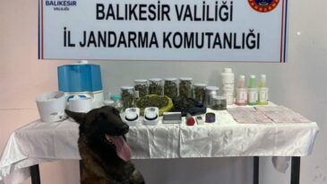 Balıkesir’de jandarmadan kaçakçılık ve uyuşturucuya darbe: 81 şüpheliye işlem yapıldı