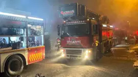 Ayvalık’ta Zeytinyağı Tesisi Yangını