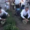 Balıkesir 6. Uluslararası Aroma Terapi Festivali Başladı