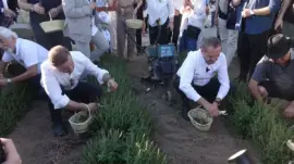 Balıkesir 6. Uluslararası Aroma Terapi Festivali Başladı
