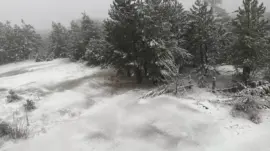 Sındırgı’da Kar Yağışı!