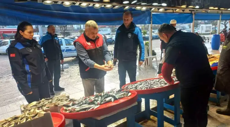 Balıkesir’de Uskumru İddialarına Denetim