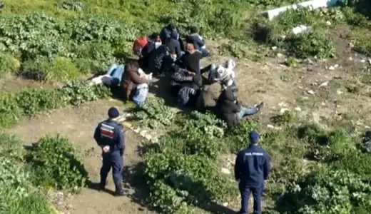 Ayvalık’ta 25 Göçmen Yakalandı